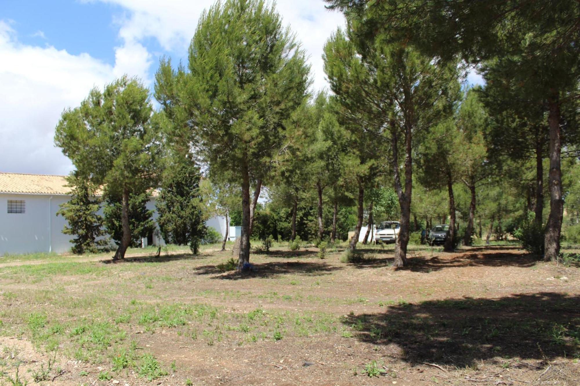 La Casa Del Marques Guest House Horcajo de Santiago Luaran gambar